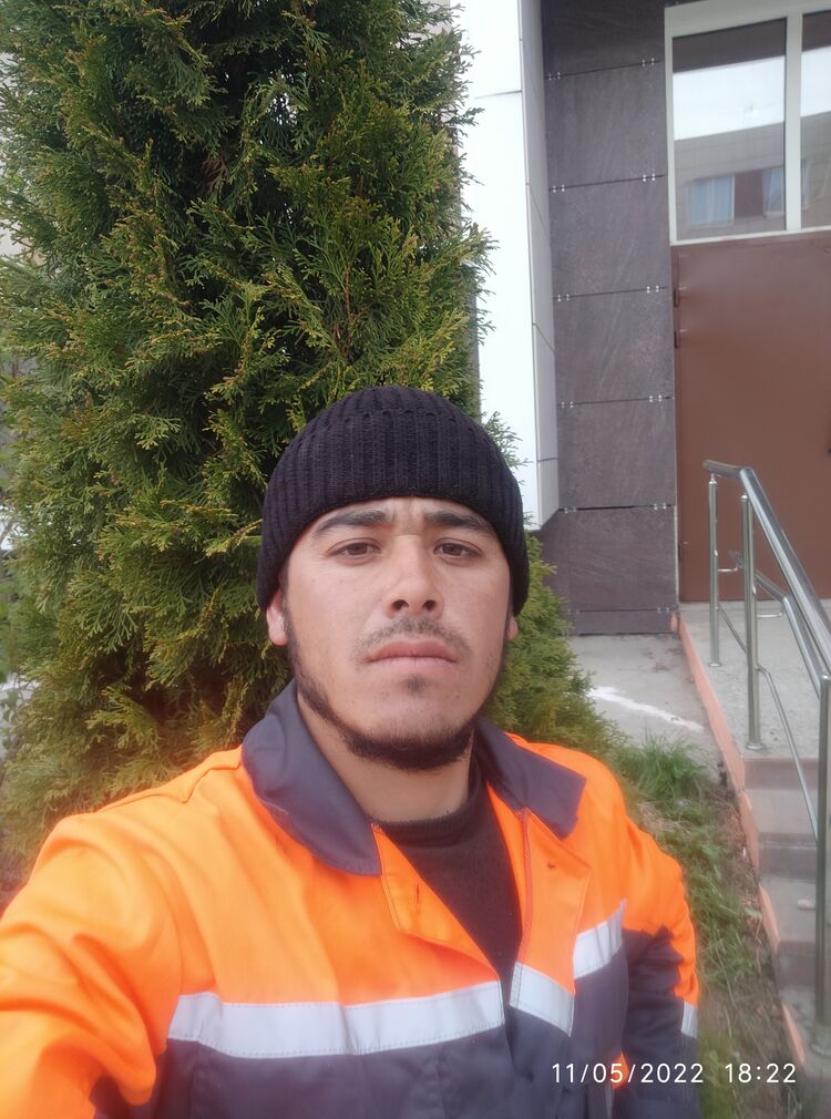 ���� 26682610 ������� ��������, 32 ����, ���� ���������� � ������