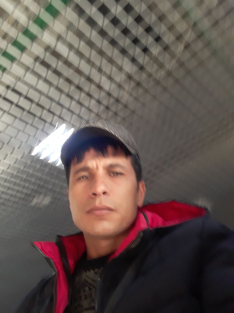 ���� 25423160 ������� ������, 38 ���, ���� ���������� � ��������