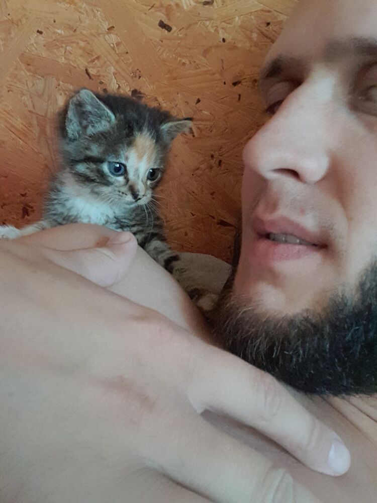 ���������� �����������, ���� ������� ���������, 28 ���, ������������ ��� ������, ����� � ���������, ���������