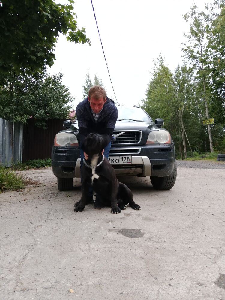 ���� 38204250 ������� �����, 35 ���, ���� ���������� � �����-����������