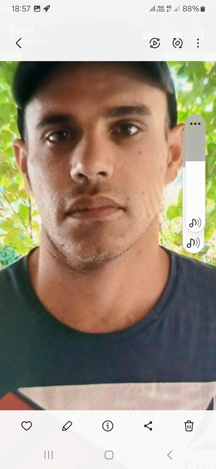  45354660  , 37 ,    