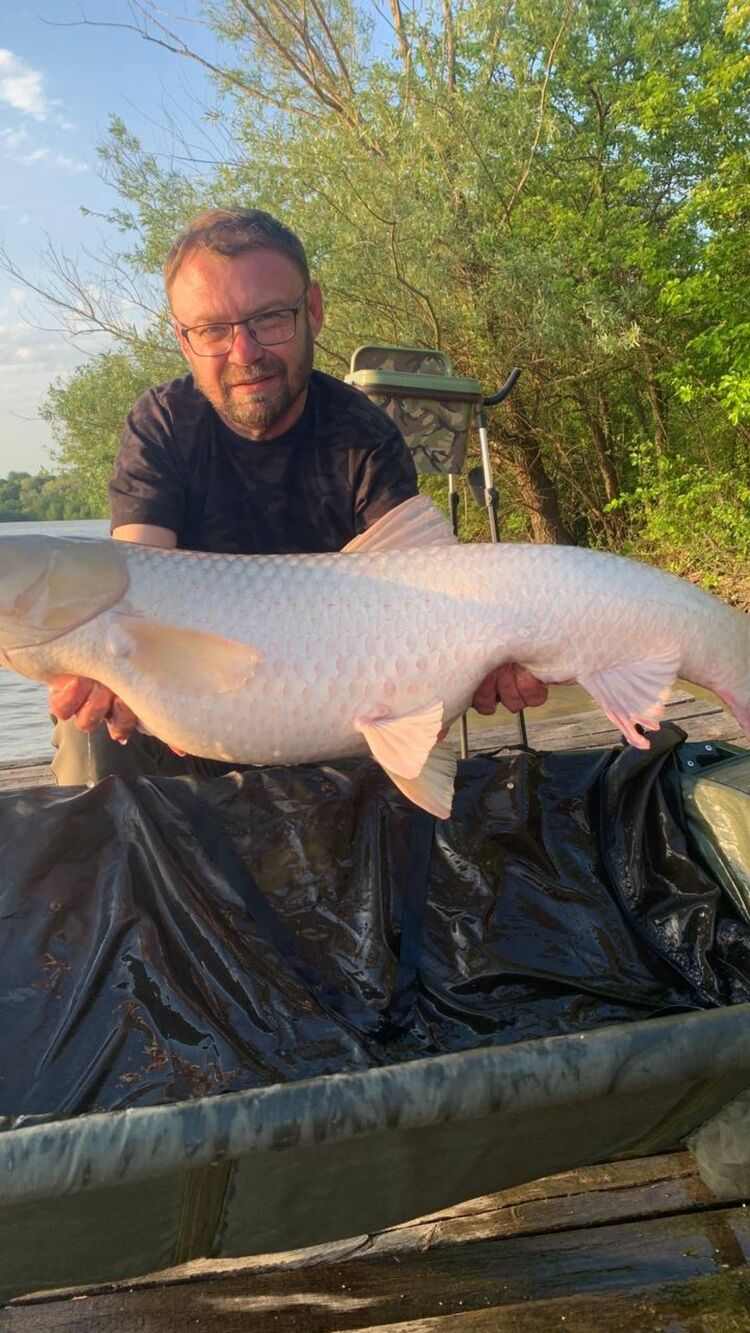 ���� 34772840 ������� ��������, 46 ���, ���� ���������� � ����������