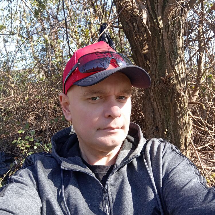 ���������� ����, ���� ������� �����, 43 ����, ������������ ��� ������, ����� � ���������, c�������� ���������