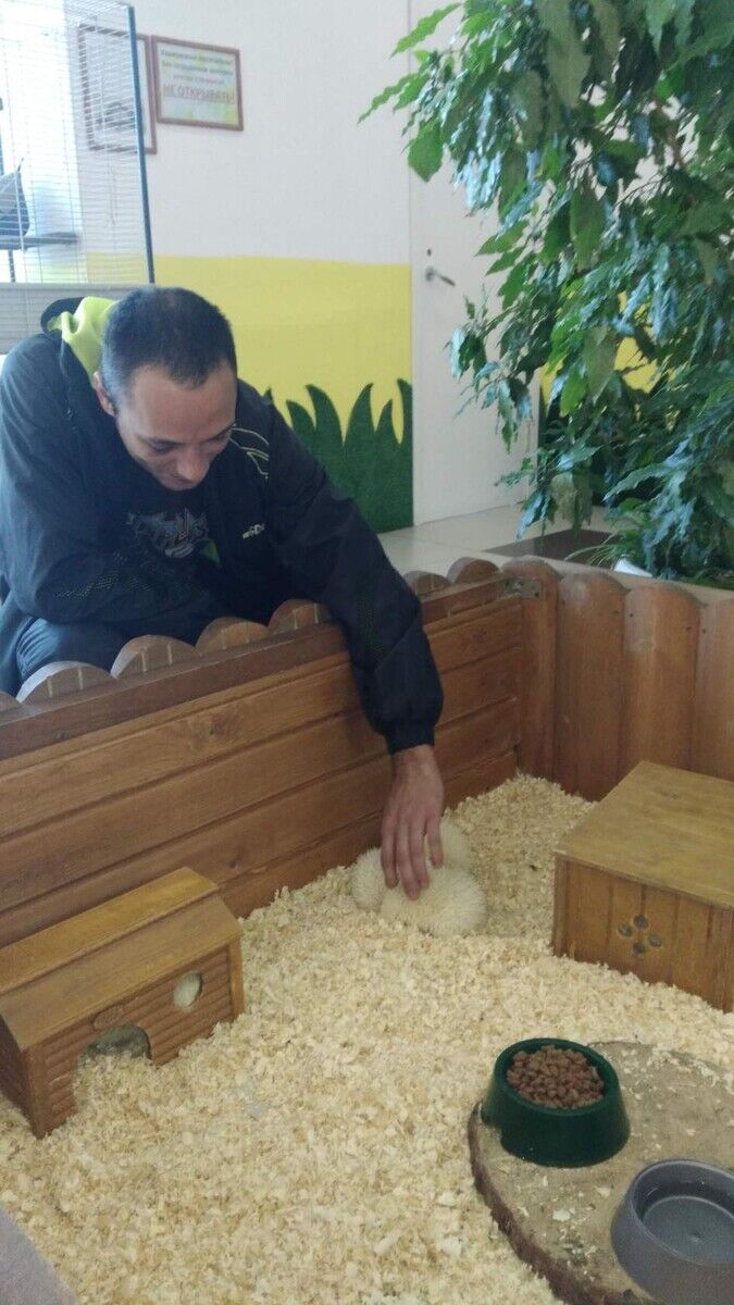 ���������� ���������, ���� ������� �����, 38 ���, ������������ ��� ������, ����� � ���������, c�������� ���������, ���������