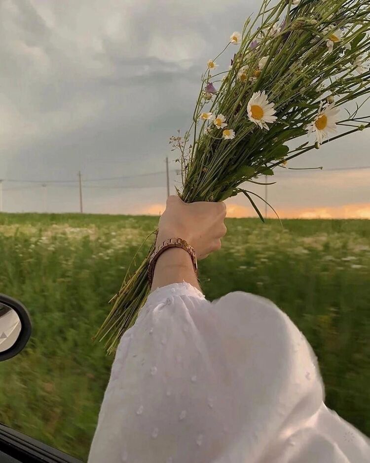 ���� 36880040 ������� ����, 31 ���, ���� ���������� � ������������