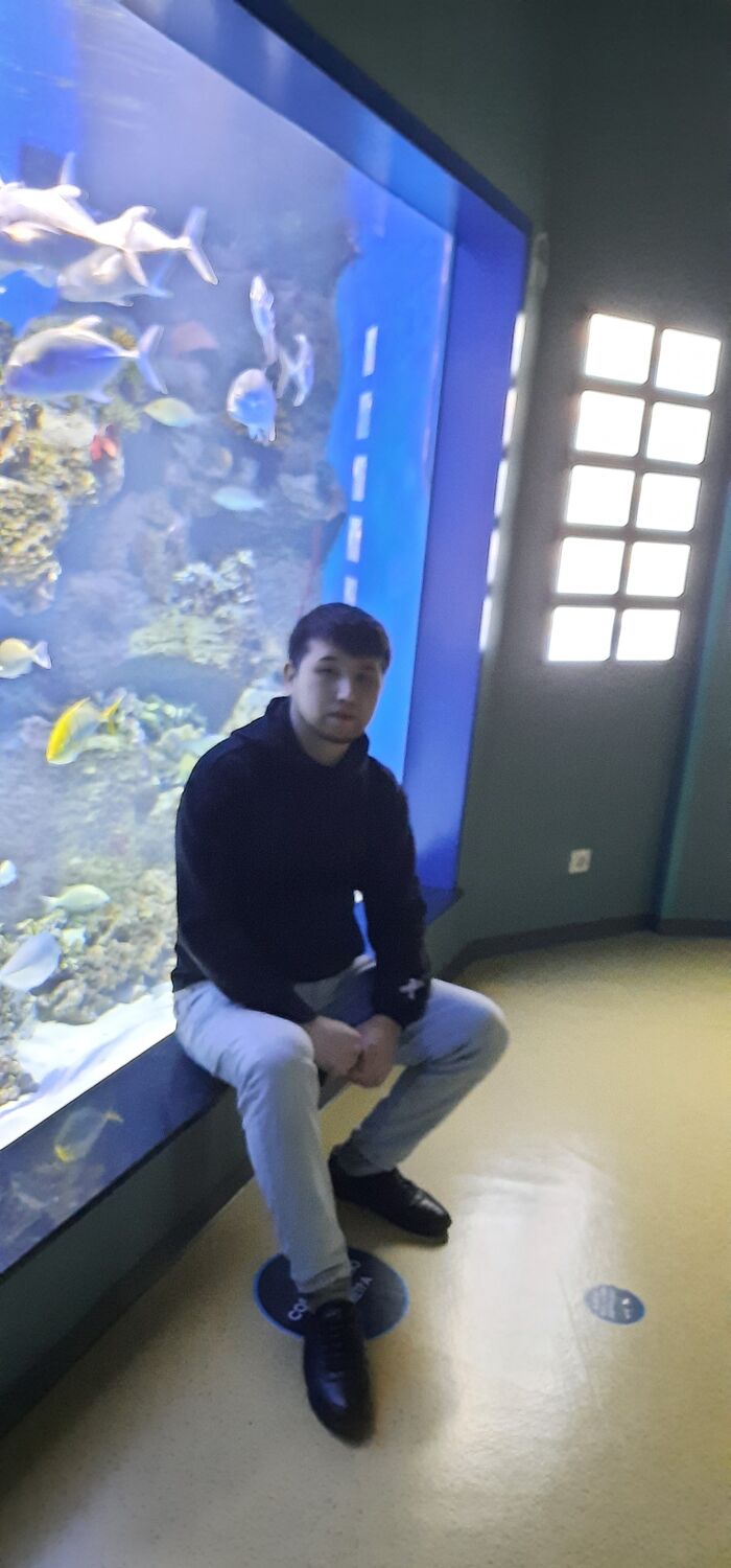 ���������� ������, ���� ������� �����, 38 ���, ������������ ��� ������, ����� � ���������, c�������� ���������, ���������