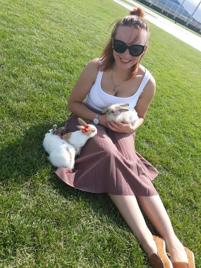 ���������� ���������, ���� ������� ����, 33 ����, ������������ ��� ������, ����� � ���������, c�������� ���������