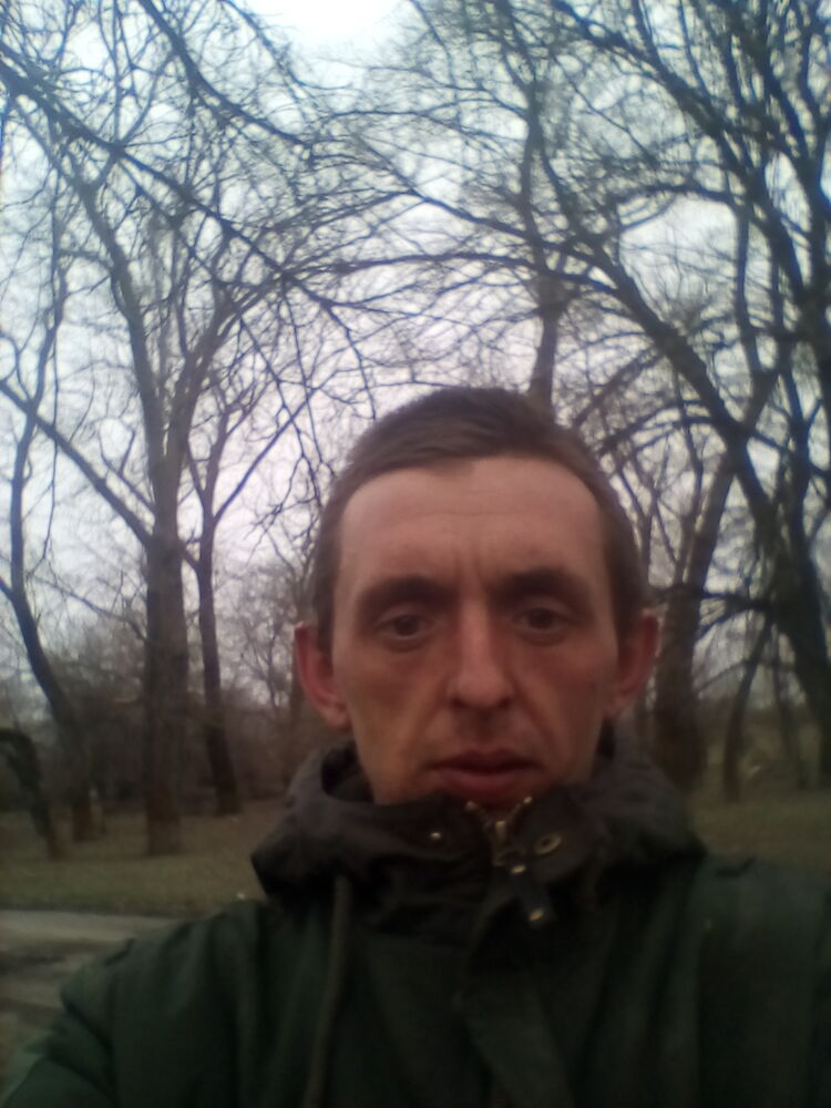  41528580  , 31 ,    