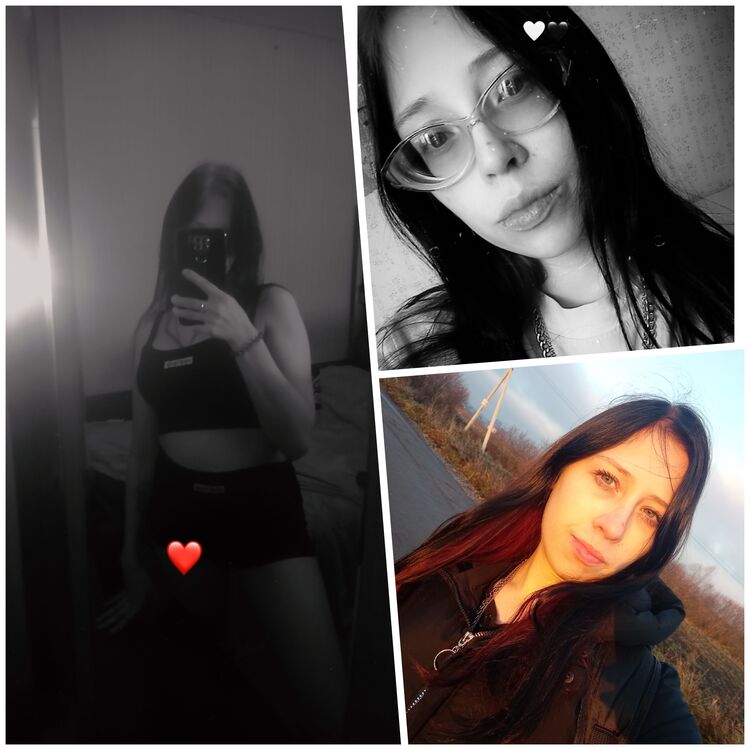  49951230  , 22 ,    -