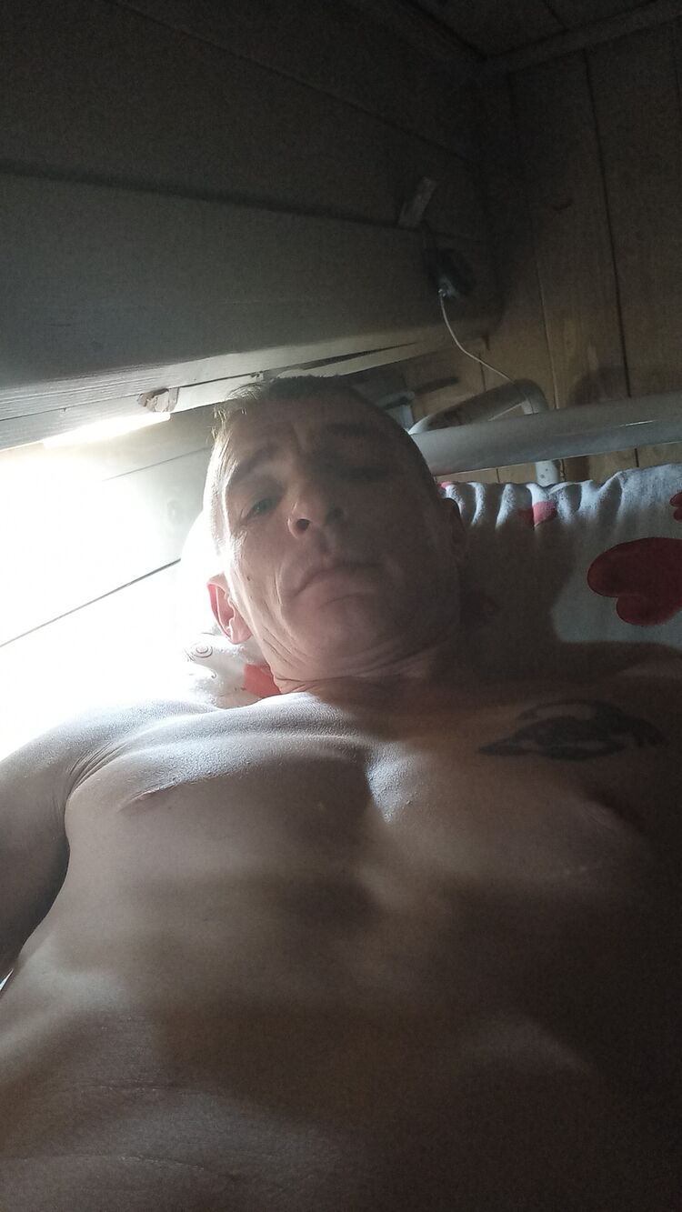  33556890  , 41 ,    
