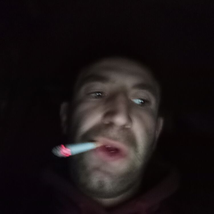 ���� 24513540 ������� ������, 33 ����, ���� ���������� � �����