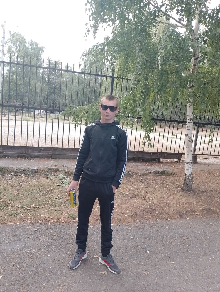  29665520  , 22 ,    