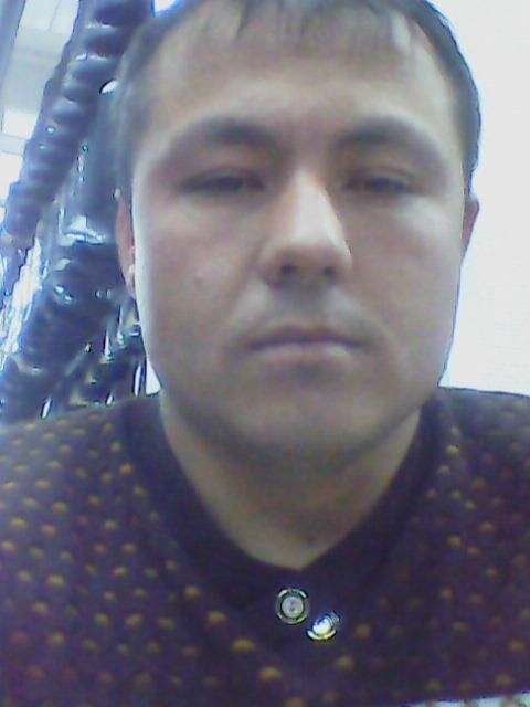 ���� 7319560 ������� �����, 40 ���, ���� ���������� � ������������