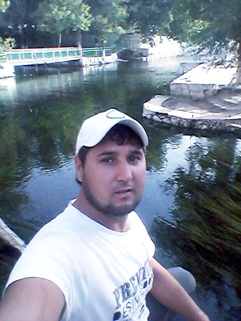  44638350  , 36 ,    -