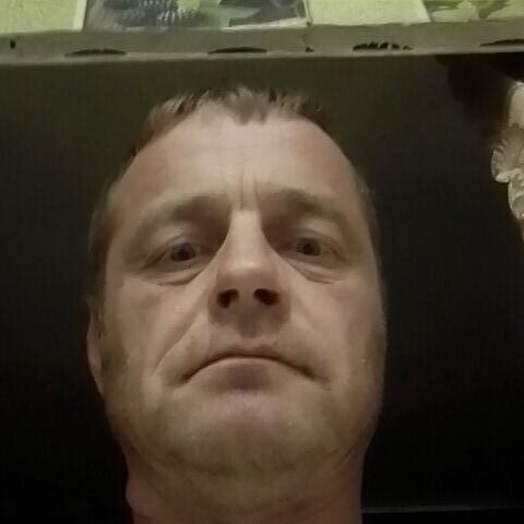 ���� 29310180 ������� ����, 29 ���, ���� ���������� � ������