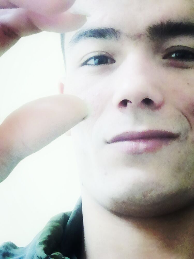  31630430  , 29 ,    
