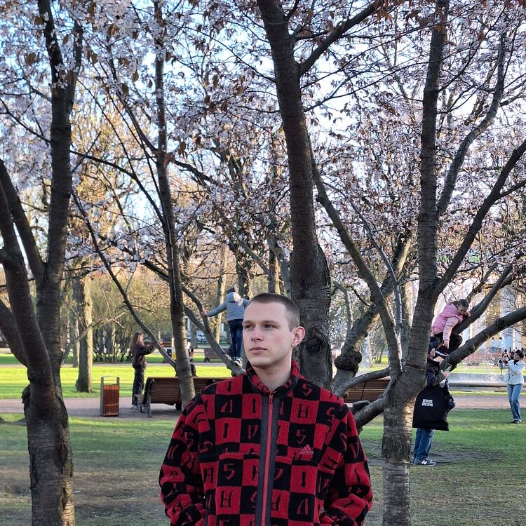  -,   , 23 ,   ,   , 