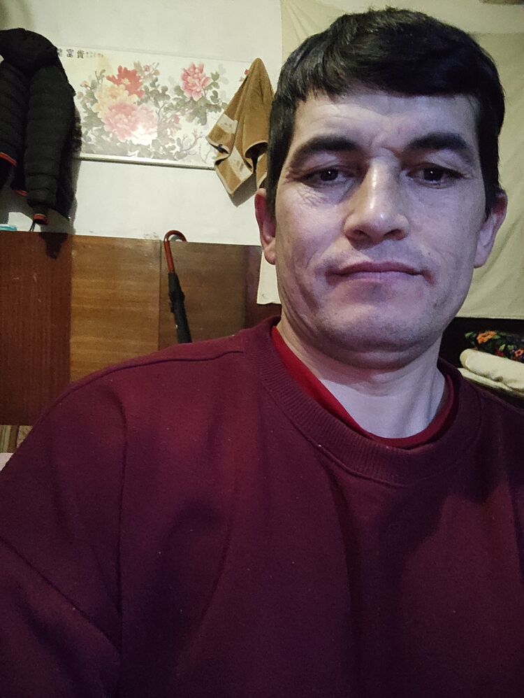  33381030  , 40 ,    -