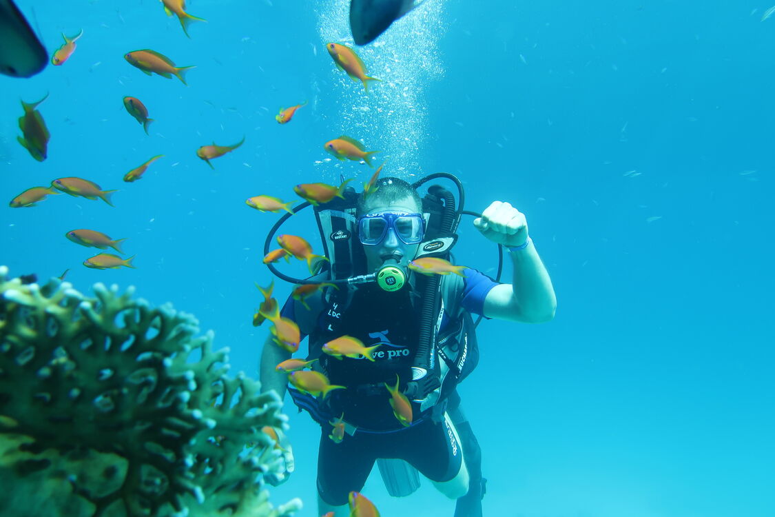 ���� 49683540 ������� �����, 37 ���, ���� ���������� � ���