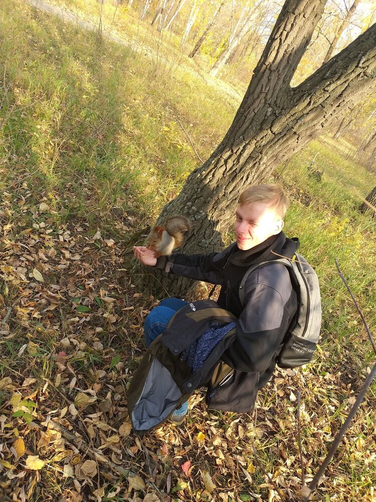 ���������� ������, ���� ����� ������, 23 ����, ������������ ��� ����� � ���������, c�������� ���������