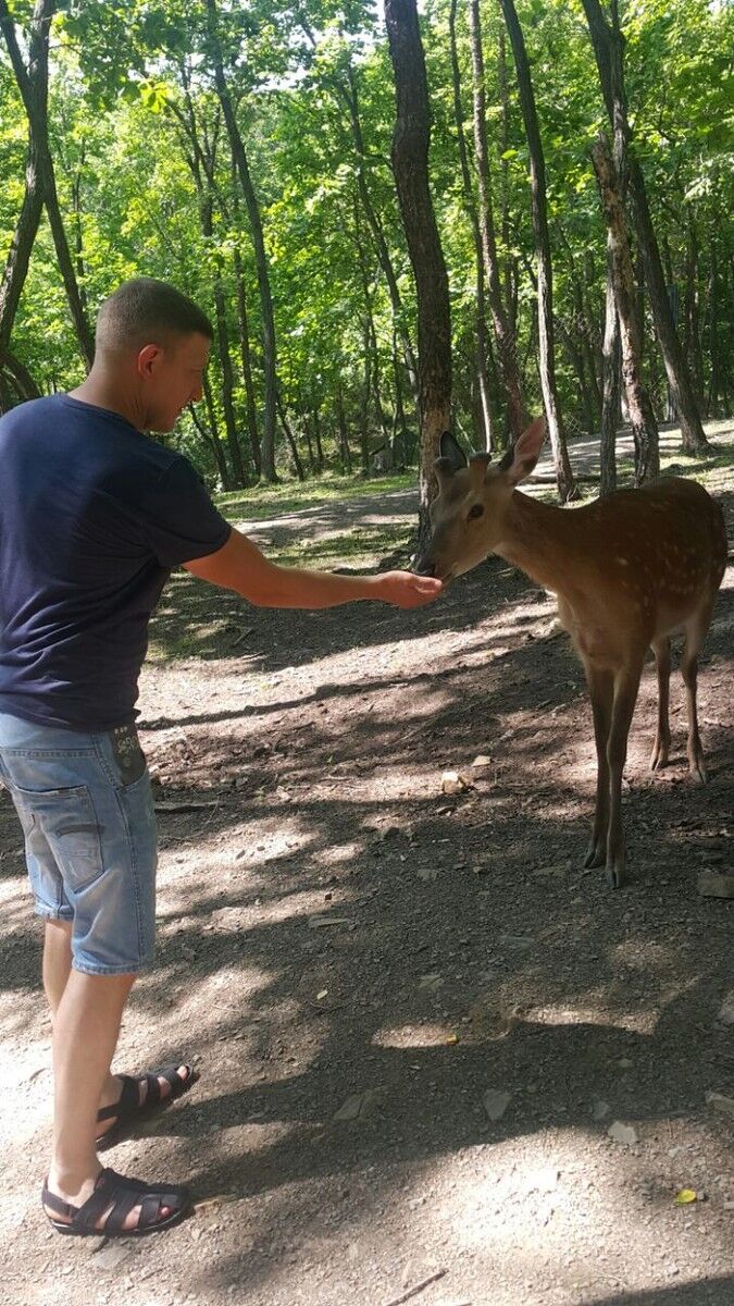 ���� 9844120 ������� ����, 42 ����, ���� ���������� � �������