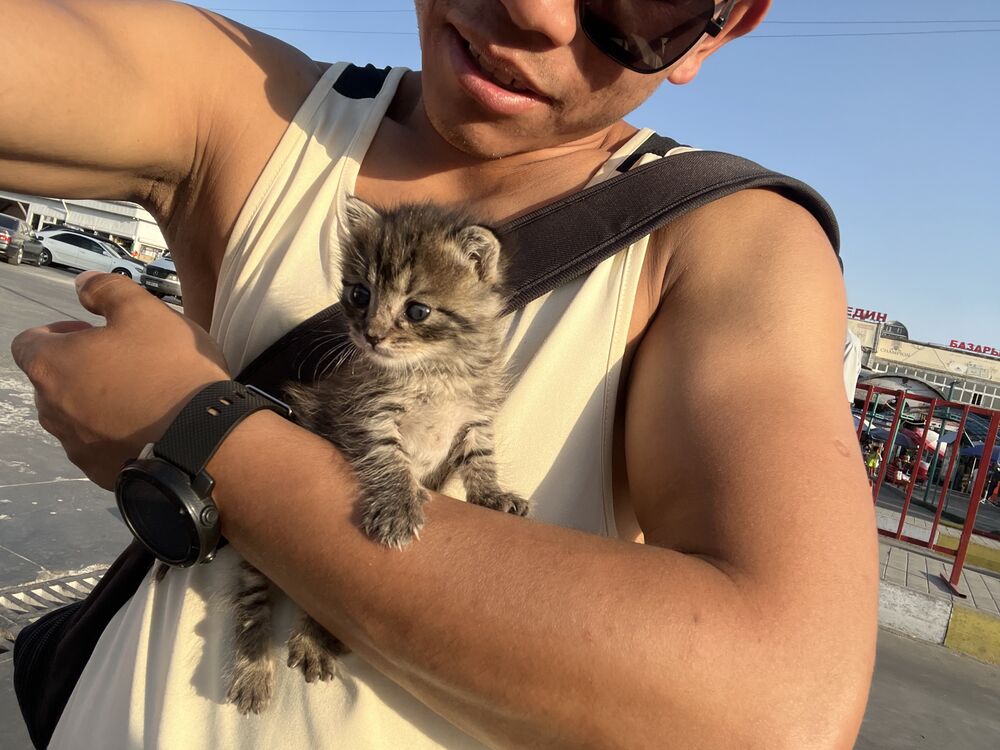 ���� 54539760 ����� ����, 25 ���, ���� ���������� � �������