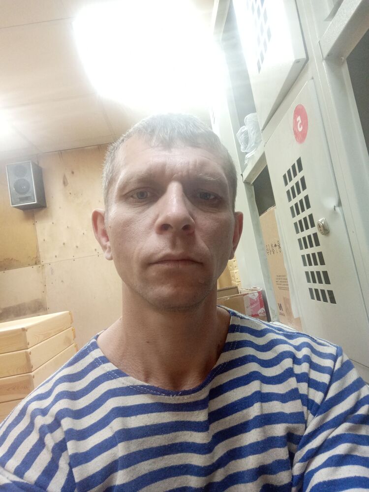  39094700  , 44 ,     
