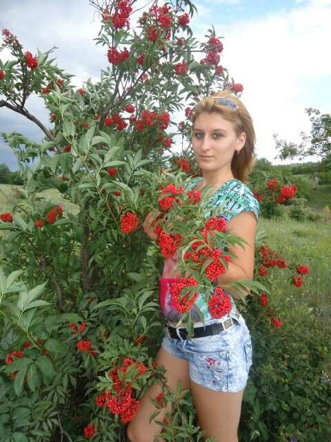 ���� 4103710 ������� MARISHKA, 30 ���, ���� ���������� � ����������