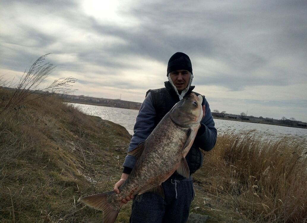 ���������� ������, ���� ������� Lexa, 36 ���, ������������ ��� ������, ����� � ���������, ���������