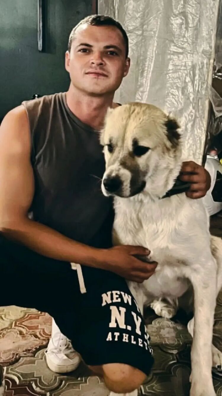 ���� 30803930 ������� �����, 26 ���, ���� ���������� � �����������