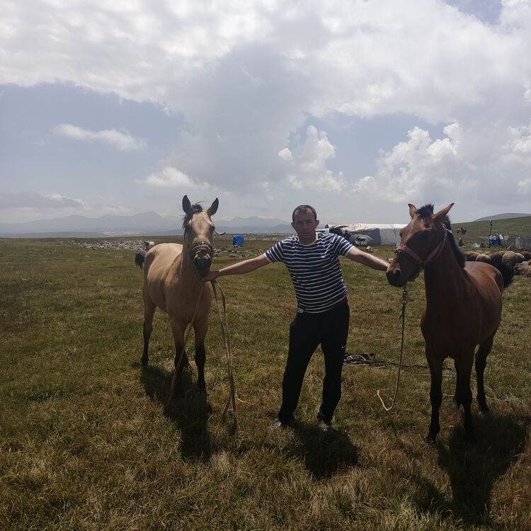 ���������� ����, ���� ������� ����, 42 ����, ������������ ��� ������, ����� � ���������, c�������� ���������