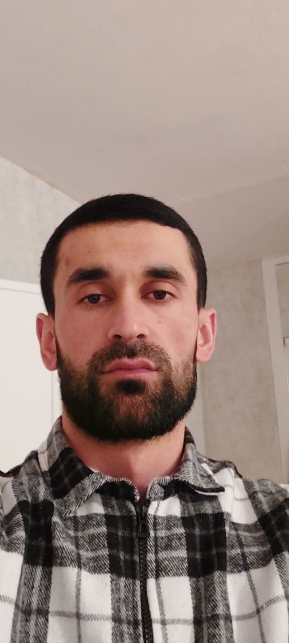  43446130  , 31 ,    