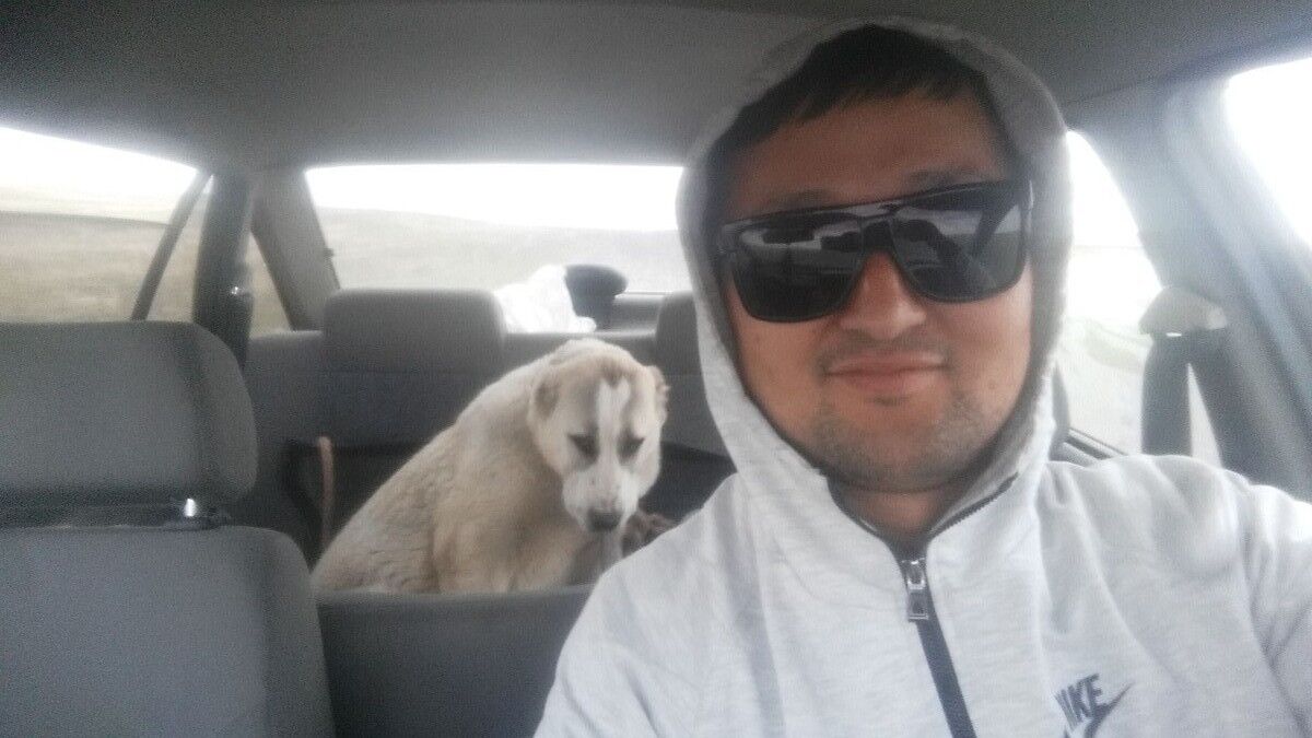 ���� 16433910 ������� �����, 37 ���, ���� ���������� � ���������