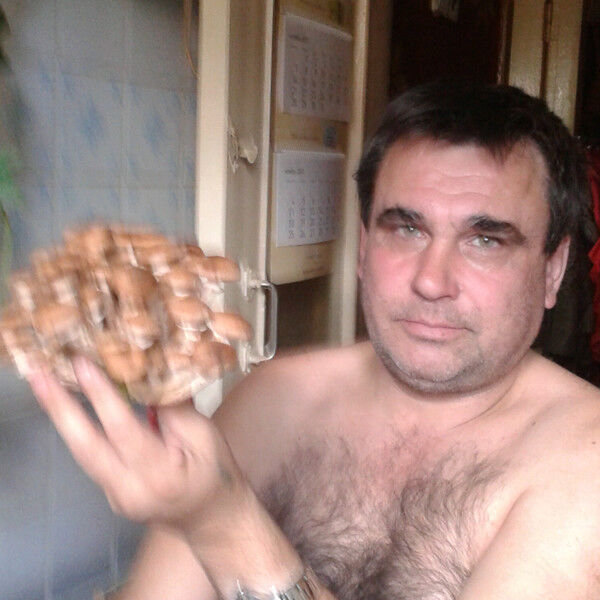  ,   , 58 ,   