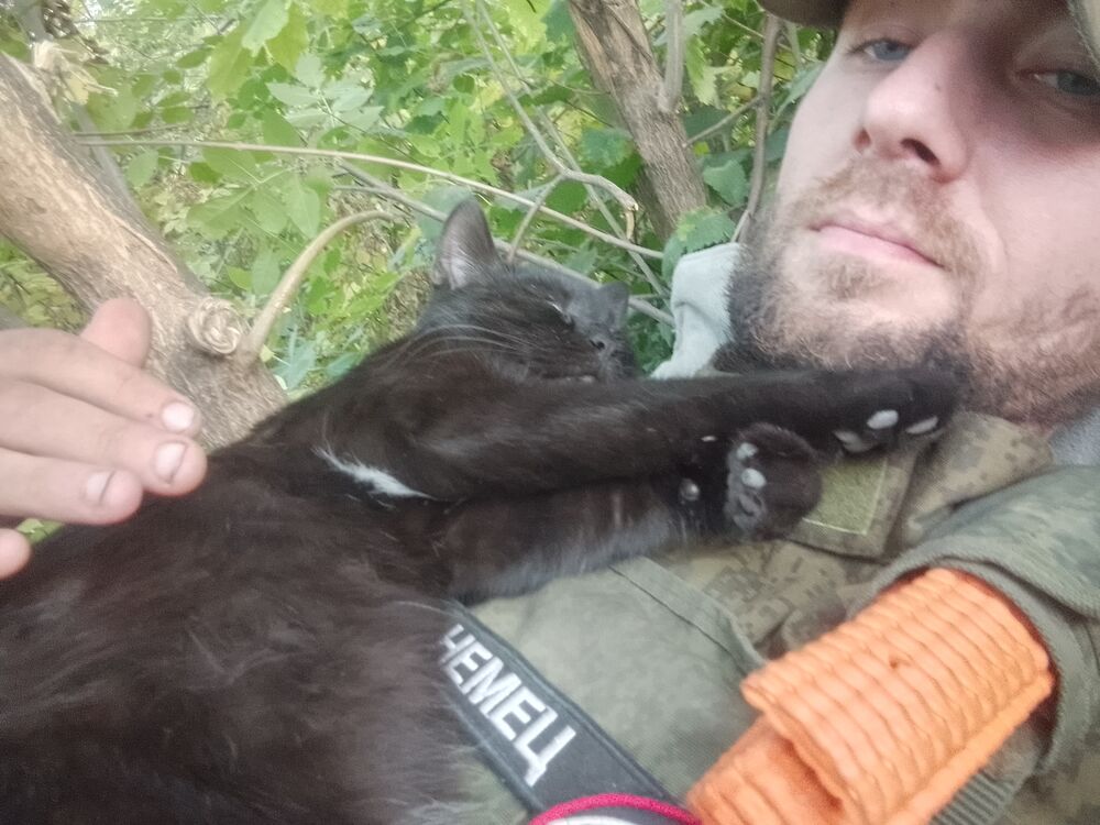  46550220  Sergey, 35 ,    