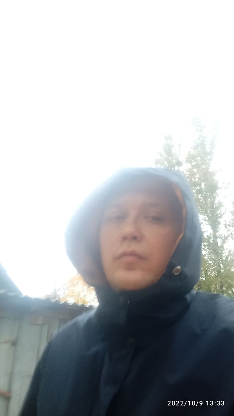  31356410  , 36 ,    