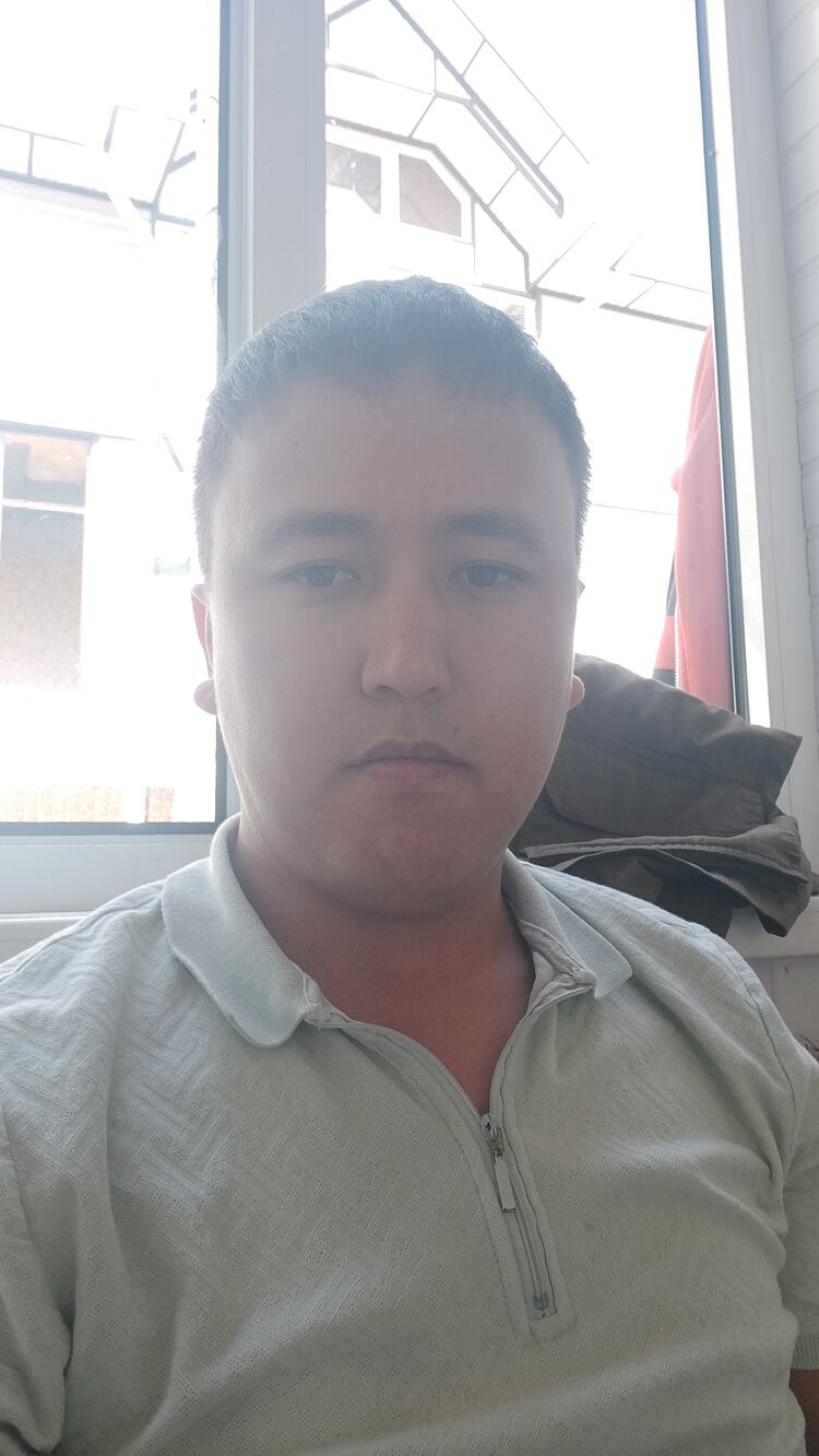  29513810  , 33 ,    