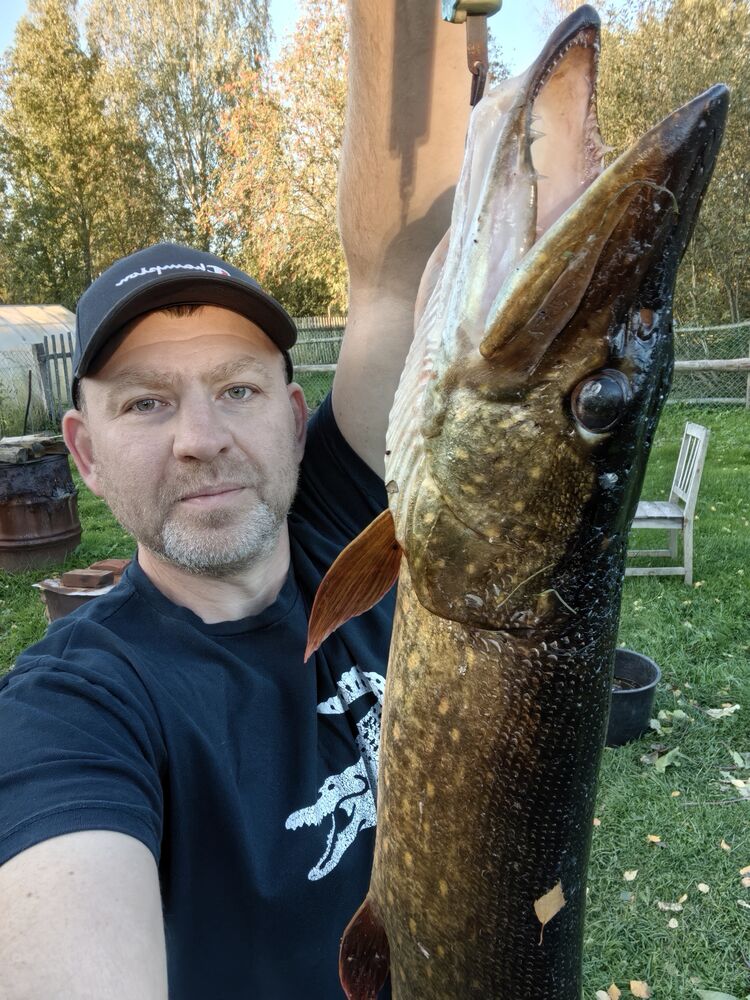  54368700  Denis, 47 ,    -