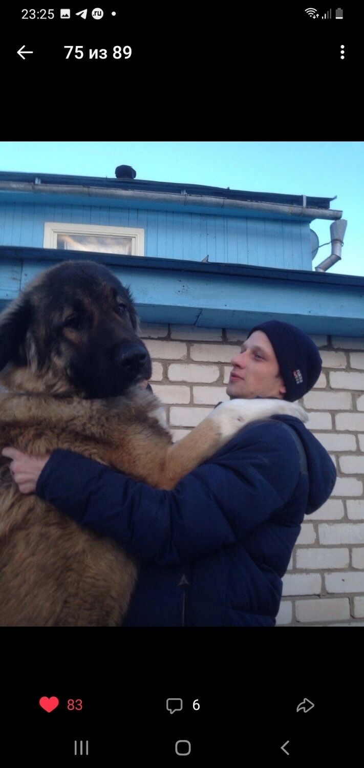 ���������� ������, ���� ������� ��������, 36 ���, ������������ ��� ������, ����� � ���������, c�������� ���������