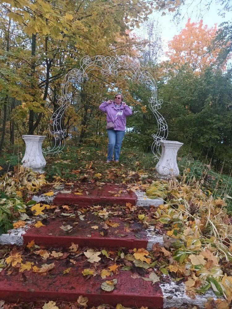  53984180  , 58 ,    -