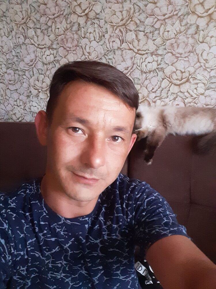 20866750  , 36 ,    