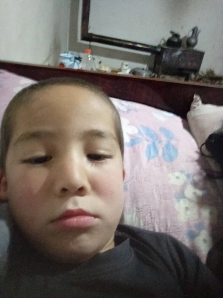  31940620  , 42 ,    