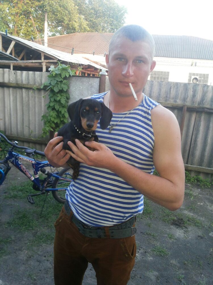 ���� 8126150 ������� �����, 33 ����, ���� ���������� � �����