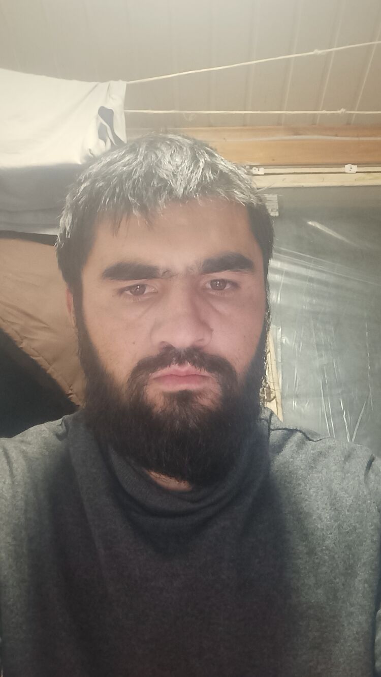 ���� 39245870 ������� ����, 33 ����, ���� ���������� � ������