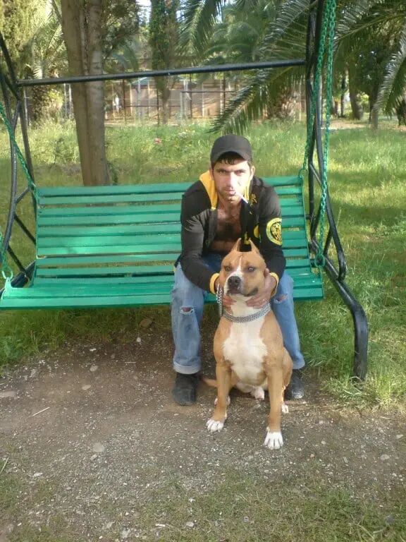 ���������� ����������, ���� ������� ���, 39 ���, ������������ ��� ������, ����� � ���������