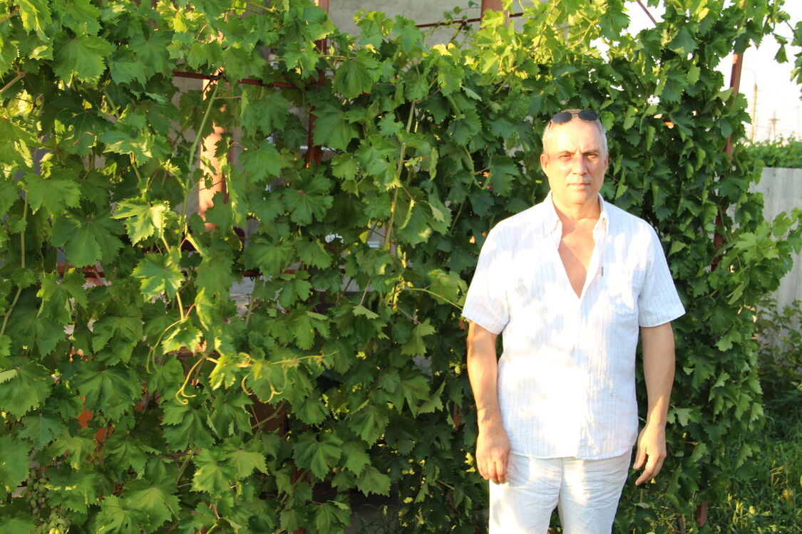 ���� 7900280 ������� ���, 68 ���, ���� ���������� � ����������