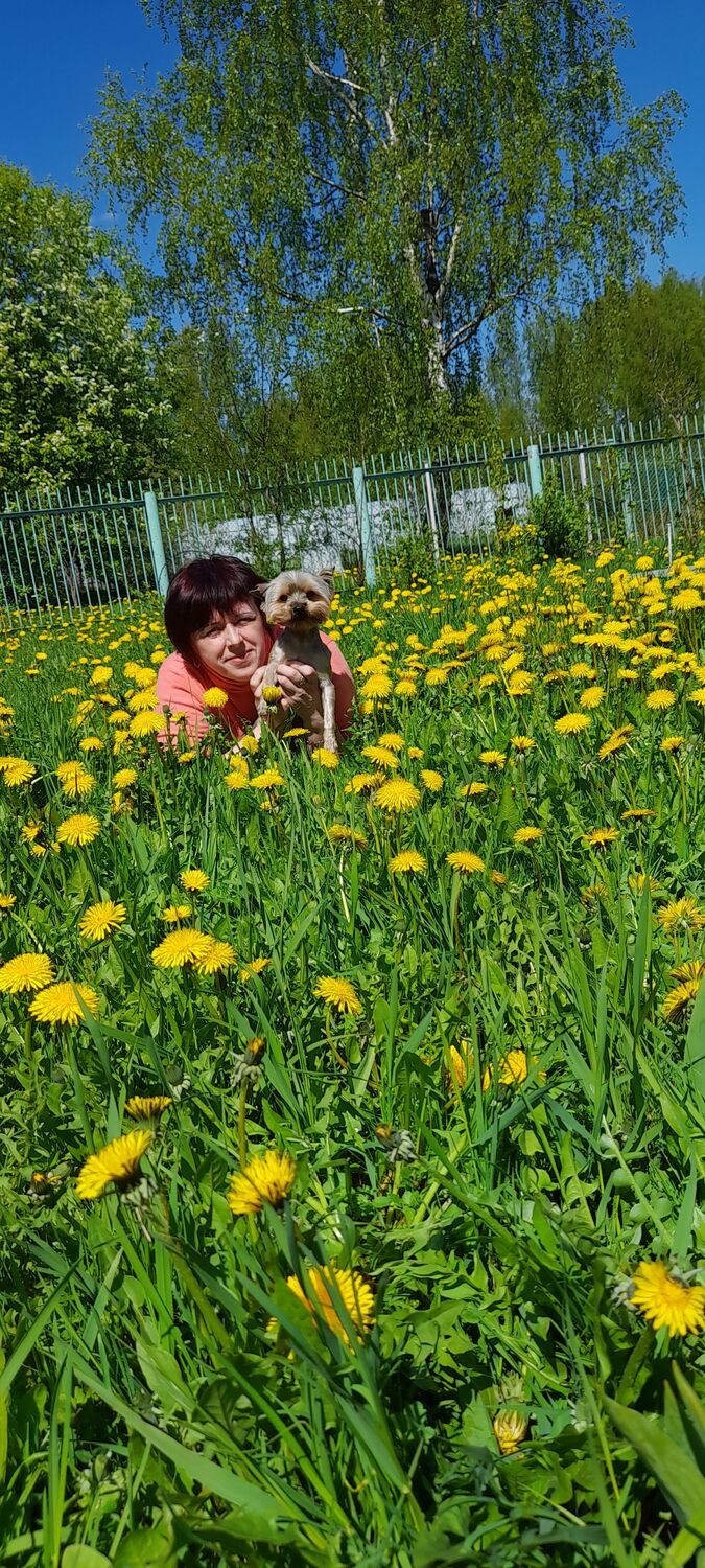 ���������� ������, ���� ������� �������, 60 ���, ������������ ��� ������, ����� � ���������, c�������� ���������