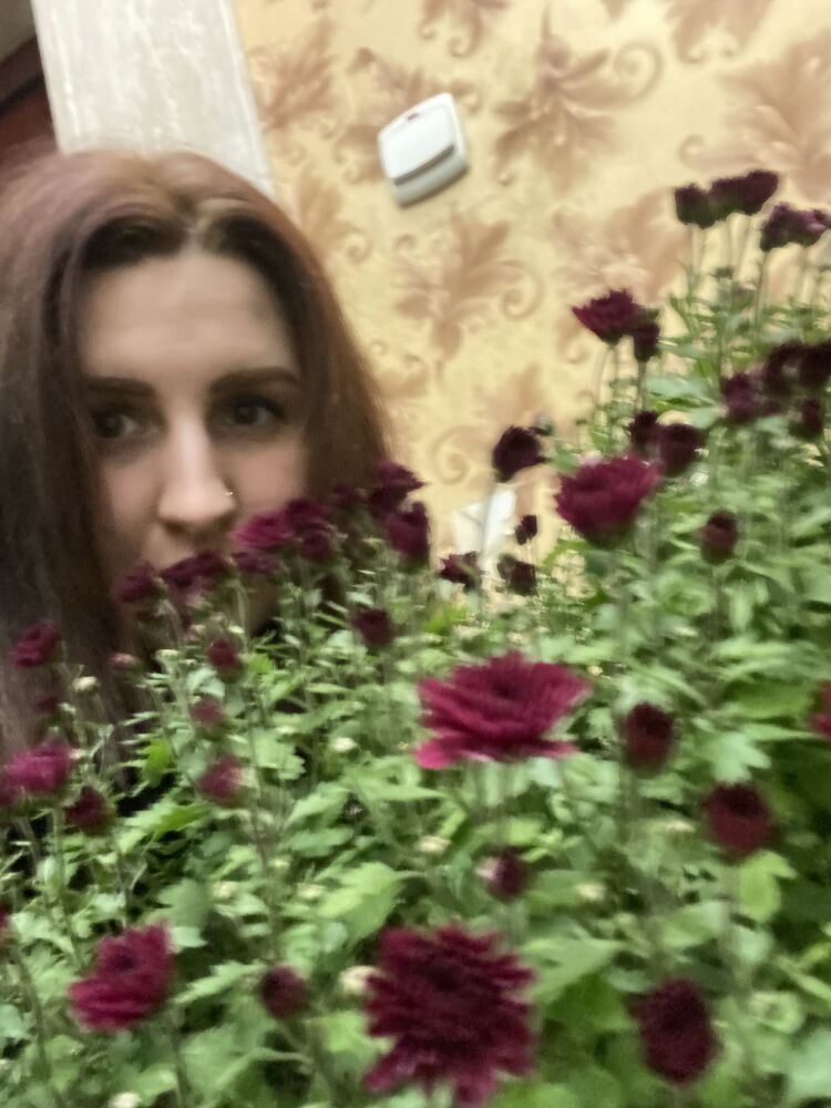 ���������� �����������, ���� ������� ���������, 33 ����, ������������ ��� ����� � ���������, c�������� ���������