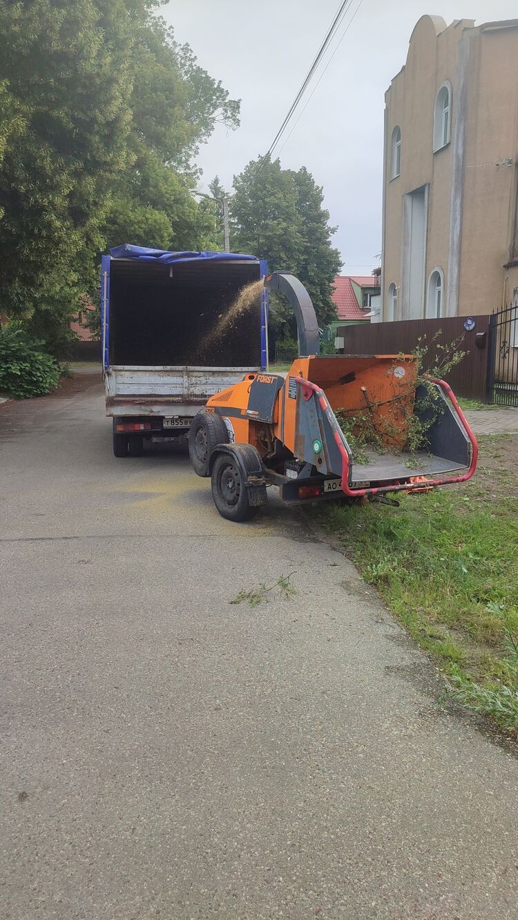  44300490  , 46 ,    