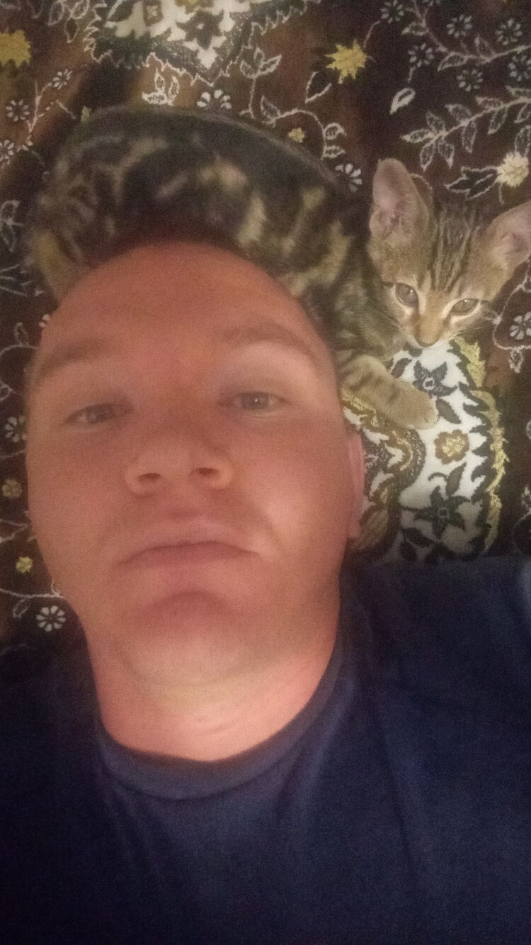 ���� 24382150 ������� ��������, 30 ���, ���� ���������� � ����������